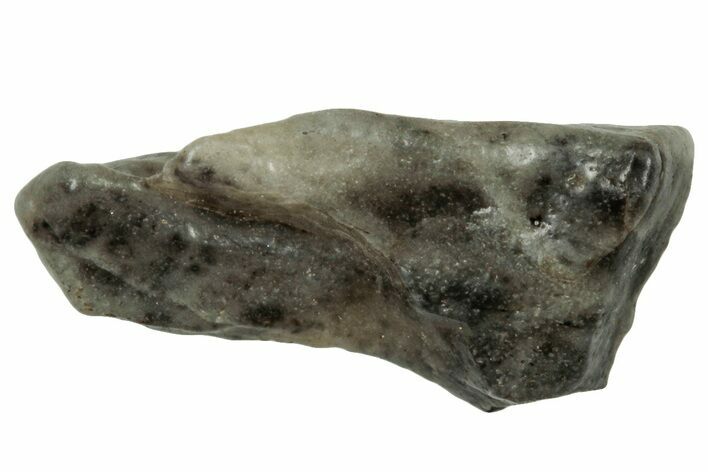 Lunar Meteorite ( g) Section - Touat #303605